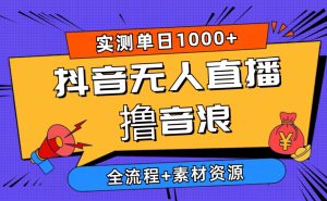 2024抖音无人在线撸抖币新模式 日入1000  全过程 素材资料-天天有课网