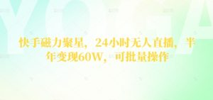 快手磁力聚星,24钟头无人直播,大半年转现60W,可批量处理-天天有课网