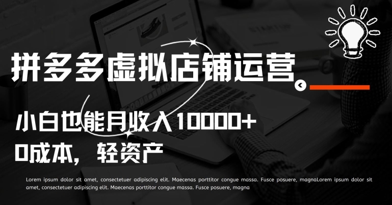 拼多多虚拟店铺运营小白也能月收入10000+【揭秘】-天天有课网