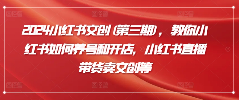 2024小红书文创(第三期)，教你小红书如何养号和开店，小红书直播带货卖文创等-天天有课网