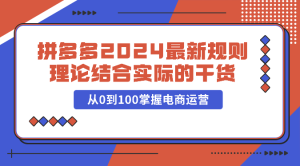 拼多多平台2024全新标准理论与实践相结合的干货知识，从0到100把握网店运营-天天有课网