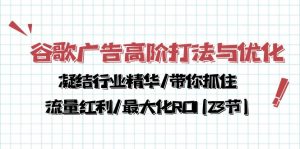 谷歌广告高阶打法与优化，凝结行业精华/带你抓住流量红利/最大化ROI(23节)-天天有课网