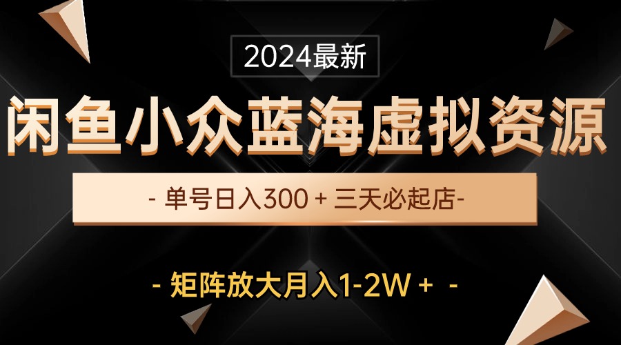 最新闲鱼小众蓝海虚拟资源，单号日入300＋，三天必起店，矩阵放大月入1-2W-天天有课网