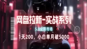 网盘拉新注册渠道和拉新步骤+细节技巧-天天有课网