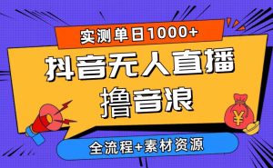 2024抖音无人直播撸音浪新玩法 日入1000+ 全流程+素材资源-天天有课网