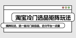 淘宝冷门选品矩阵玩法:换种玩法,选一些冷门类目品,去分平台一点羹-天天有课网