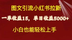 图文引流小红书拉新一单15元，单日暴力收益5000+，小白也能轻松上手-天天有课网
