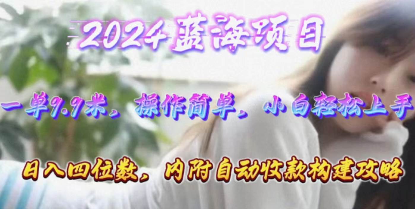 年轻群体的蓝海市场，1单9.9元，操作简单，小白轻松上手，日入四位数-天天有课网