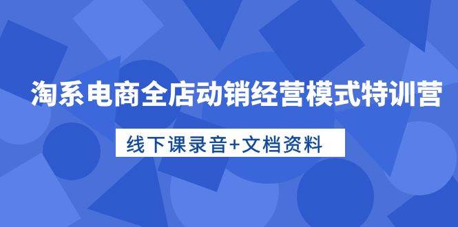 淘系电商全店动销经营模式特训营，线下课录音+文档资料-天天有课网