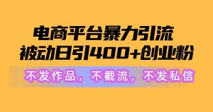 电商平台暴力引流,被动日引400+创业粉不发作品,不截流,不发私信-天天有课网