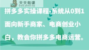 拼多多实操课程：系统从0到1，面向新手商家、电商创业小白，教会你拼多多电商运营。-天天有课网