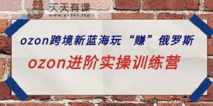 ozon跨境电商新蓝海玩“赚”俄国，ozon升阶实操训练营-天天有课网