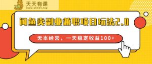 淘宝闲鱼副业兼职新项目游戏玩法2.0，无本万利运营，一天稳定盈利100-天天有课网