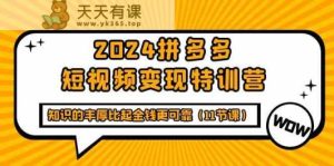 2024拼多多平台短视频变现夏令营,知识丰富相比钱财更有保障-天天有课网