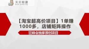 【淘宝网超高价位新项目】1单赚1000多，店面引流矩阵实际操作-天天有课网