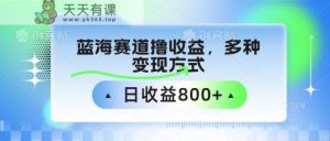 中老年人健身操瀚海跑道撸盈利，多种多样变现模式，日盈利800-天天有课网