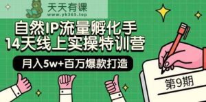 当然IP总流量卵化手14无线天线上实际操作夏令营【第9期】月入5w 上百万爆款打造 (74节)-天天有课网