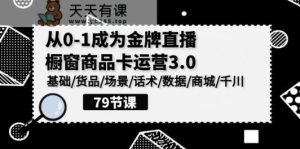 0-1变成王牌直播间橱窗展示产品卡经营3.0，基本/货物/情景/销售话术/数据信息/商城系统/巨量千川-天天有课网