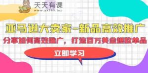 亚马逊大卖家新品高效推广，分享如何高效推广，打造百万美金爆款单品-天天有课网