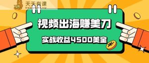 中国爆款短视频出航赚美金，实战演练盈利4500美元，大批量没脑子运送，无需经验直接上手-天天有课网