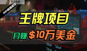 王牌项目月入10W美元，2024全新海外放置挂机撸U新项目，全过程无人化，可大批量变大！-天天有课网