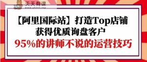 【阿里巴巴国际】打造出Top店面-得到高品质外贸询盘顾客,95%的老师不说的运营方法-天天有课网