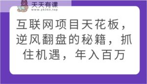 网络项目吊顶天花板,让二追三的秘笈,把握机遇,年收入百万-天天有课网