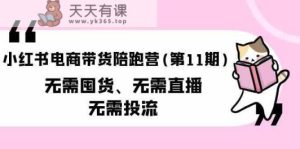 小红书电商卖货陪跑营(第11期)无需囤货、不用直播间、不用投流-天天有课网