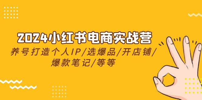 2024小红书电商实战营，养号打造IP/选爆品/开店铺/爆款笔记/等等（24节）-天天有课网