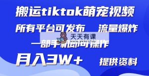 运送Tiktok萌宝类视频，一部手机就可以。全部短视频app都可实际操作，月入3W-天天有课网