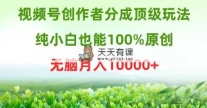 微信视频号原创者分为顶尖游戏玩法，纯小白也可以100%原创设计，没脑子月收入10000-天天有课网