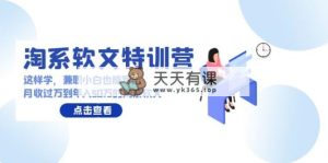 淘宝推广软文夏令营：那样学，做兼职新手也能写月收破万到年收入50万淘宝推广软文-天天有课网
