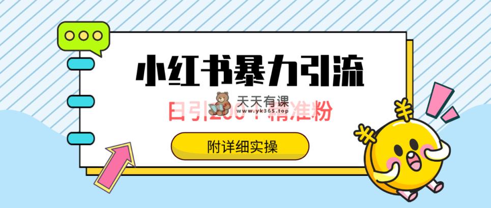 小红书的暴力行为引流方法秘笈，日引200＋精准粉，一键精准推送数万人，附详尽实际操作-天天有课网