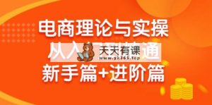 电子商务理论和实际操作实用教程：抖音小店 淘宝 多多的，初学者篇 实战篇-天天有课网