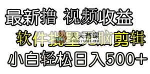 发视频撸收益，软件无脑批量剪辑，第一天发第二天就有钱-天天有课网
