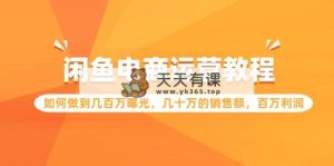 闲鱼平台网店运营实例教程：怎样做到上百万曝出，几十万的销售总额，上百万盈利-天天有课网