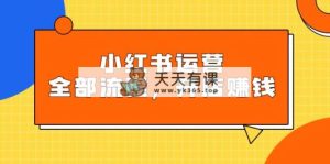 小红书运营全部流程，把握小红书的游戏玩法标准，创业赚钱-天天有课网