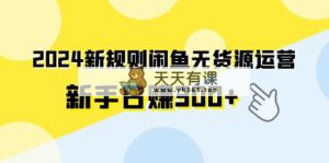 2024新规则闲鱼无货源运营新手日赚300+-天天有课网