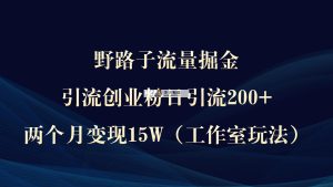 野路子流量掘金，引流创业粉日引流200+，两个月变现15W）-天天有课网