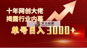 运单号日入3000 ，个人工作室内部结构没脑子美女丝袜游戏玩法，100%过原创设计-天天有课网