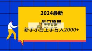 2024全新蓝海项目 新手入门日入2000-天天有课网
