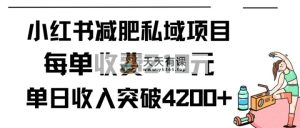 小红书的减肥瘦身公域新项目每一单收费标准210元单日交易量20单，最大日入4200-天天有课网