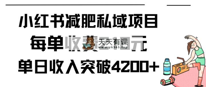 小红书的减肥瘦身公域新项目每一单收费标准210元单日交易量20单，最大日入4200-天天有课网