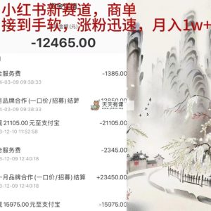 小红书新赛道，商单接到手软，涨粉迅速，月入1w+-天天有课网