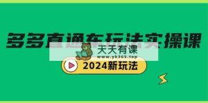 多多直通车玩法实战课，2024新玩法-天天有课网