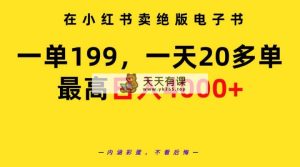 在小红书卖绝版电子书，一单199 一天最多搞20多单，最高日入4000+教程+资料-天天有课网