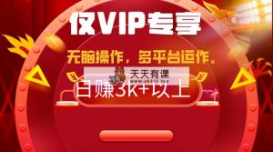 2024年最新一键多平台带货，这么简单无脑的操作日入3k+你玩过吗？几分钟…-天天有课网