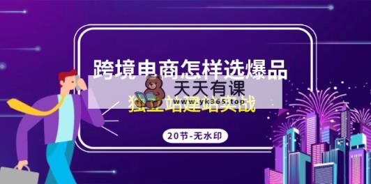 跨境电商怎样选爆品，独立站建站实战-天天有课网