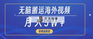 没脑子运送海外短视频，3min入门0门坎，月入5W-天天有课网