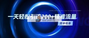 一天轻轻松松引流方法200 精准流量人群，简单直接，一看就会-天天有课网